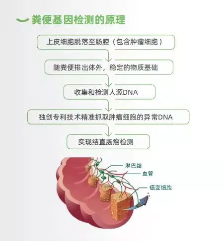 專家呼吁群眾重視腸道健康 康立明生物“ 長(zhǎng)安心”助力腸癌早篩