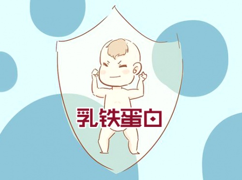 ?乳鐵蛋白奶粉哪個品牌好？這款荷蘭奶粉受到“皇家”認(rèn)可！