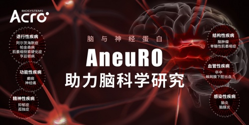 ACROBiosystems百普賽斯推出AneuRO腦與神經(jīng)蛋白，助力加速腦科學(xué)研究