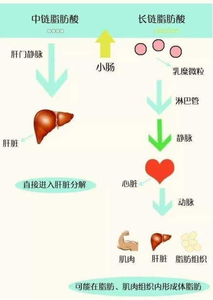 超模閃爆各品牌春季時裝周，玉鶴鳴助力輕盈狀態(tài)