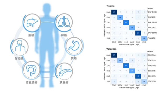 和瑞基因CEO周珺：腫瘤基因檢測(cè)市場(chǎng)還沒“開花結(jié)果”