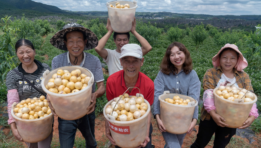 2024中國農(nóng)產(chǎn)品電商發(fā)展報(bào)告發(fā)布，拼多多從人與技術(shù)入手培育新質(zhì)生產(chǎn)力.jpg