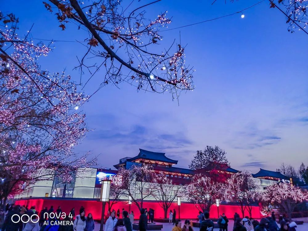 從蒼茫大地到絢麗古都，用華為nova4的超廣角留住一路美景