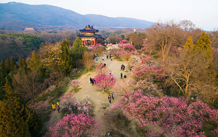 煙花三月，老司機(jī)教你最正確的踏春打開方式！