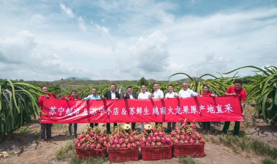 越南火龍果的20分鐘旅程，蘇寧快消實(shí)地見證