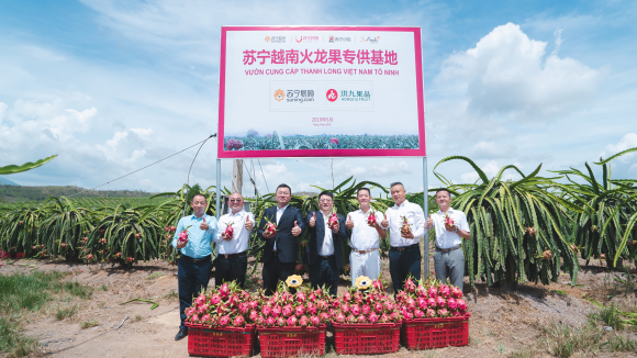 3萬畝種植園搶灘水果季 蘇寧快消盯上越南火龍果