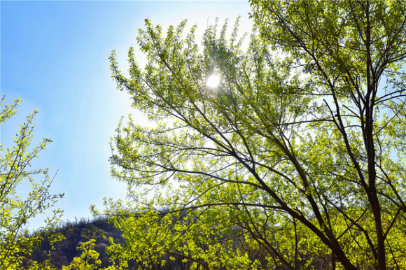 放歌朝陽大黑山——大黑山風(fēng)景區(qū)2019春季旅行攻略