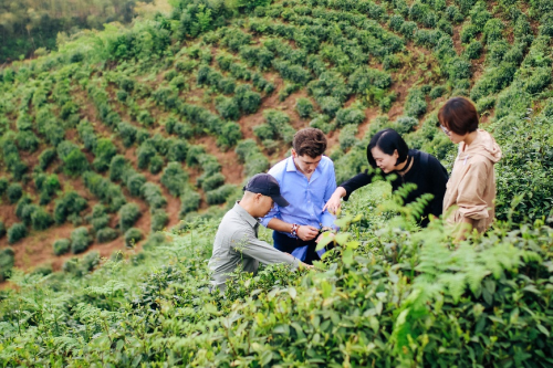 Temial知淳精心挑選品質(zhì)好茶,用智能科技還原茶中真味