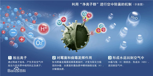 夏普PCI凈離子群技術(shù) 源于自然界的凈化力