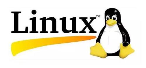 感受開源之美，共享 Linux 的安全與便捷