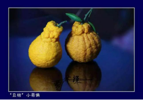 2019青少年非物質(zhì)文化遺產(chǎn)博覽會(huì)即將舉行