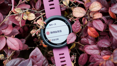 Garmin Forerunner 245，全新升級(jí)帶來(lái)全新體驗(yàn)