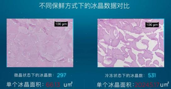 引爆冰箱行業(yè)的“微晶一周鮮”大揭秘！美的微晶冰箱如何做到“不凍原鮮，口感如初”？