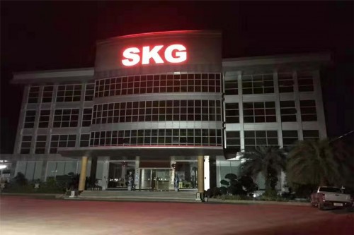 細分市場，SKG影音電器提升市場競爭力