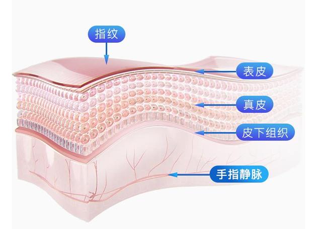 智能門鎖不止有指紋，樸墅指靜脈智能鎖了解一下？