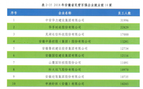 人工智能成經(jīng)濟增長內(nèi)驅力 2018年科大訊飛納稅額近10億