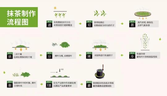 你喝的是抹茶還是茶粉?五個(gè)方面看清真假