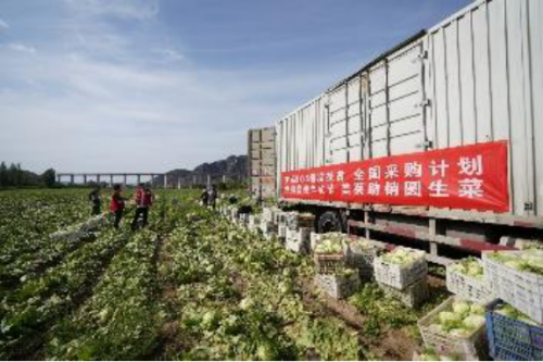 美菜網(wǎng)加速推進縣域合伙人制度，助力鄉(xiāng)村振興