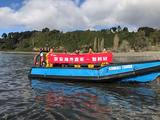 從新西蘭奇異果到挪威三文魚 京東生鮮成國際大牌首發(fā)陣地