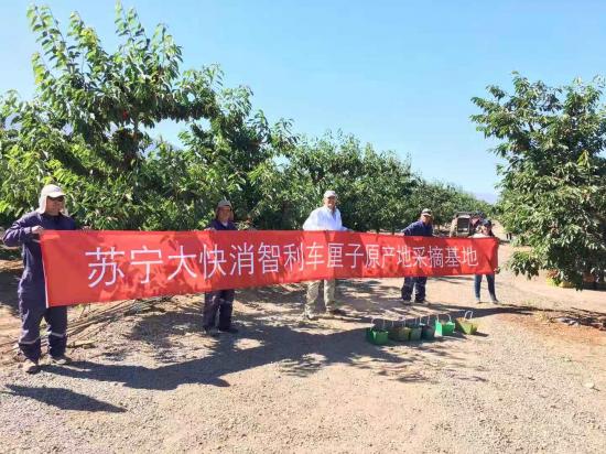 蘇寧包機(jī)直采智利車?yán)遄樱a(chǎn)地直采戰(zhàn)略再升級(jí)