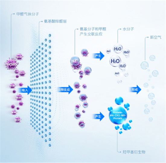 炭包市場要變天？凈美仕攜核心科技來攪局