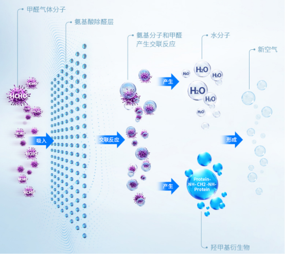 炭包除醛再升級 凈美仕氨基酸炭包即將上市