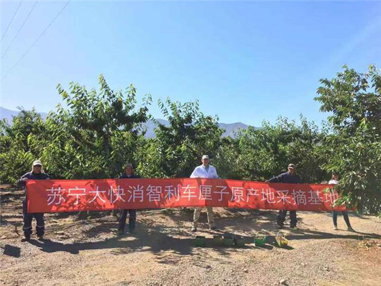 央視揭秘車厘子熱背后：蘇寧直采+全場景鑄就一小時生活圈成型