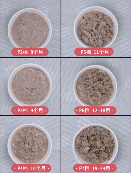 輔食機(jī)有必要買嗎？有推薦的品牌嗎？