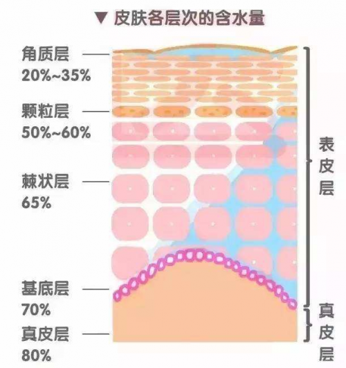 干皮如何補(bǔ)水？正確補(bǔ)水方式讓你度過干燥春季