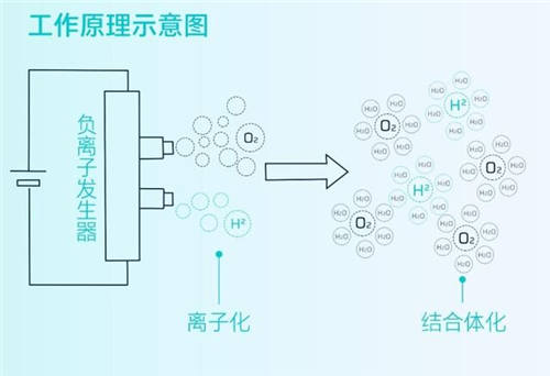 守護全方位，安全無死角，HYCAN 007將搭載HEPA高效空調(diào)濾芯