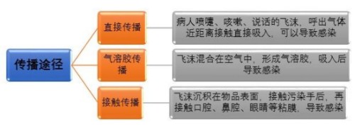 b-MOLA魚仔空氣凈化器：警惕！無癥狀感染者也可成為傳染源