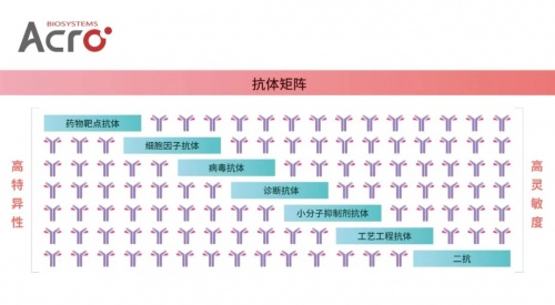 ACROBiosystems百普賽斯抗體矩陣再添新IFN-γ，助力加速生物藥研發(fā)上市進(jìn)程