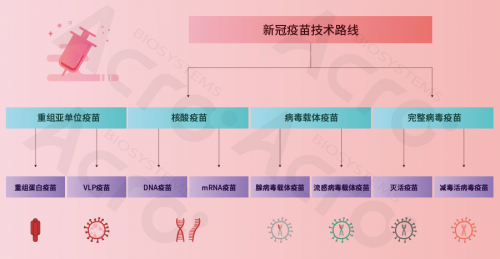 ACROBiosystems百普賽斯攜整體解決方案出席創(chuàng)新峰會，助力加速疫苗研發(fā)上市進程