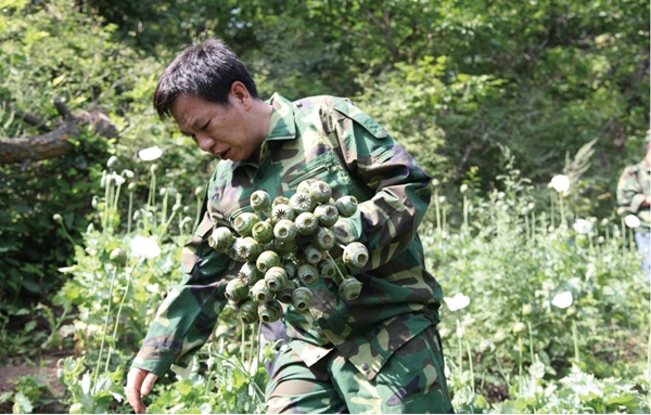 “無(wú)人機(jī)禁毒第一人”高明：智慧禁毒 科技報(bào)國(guó)